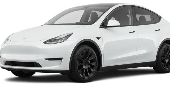 TESLA MODEL Y 2021 5YJYGDEE6MF201709 image